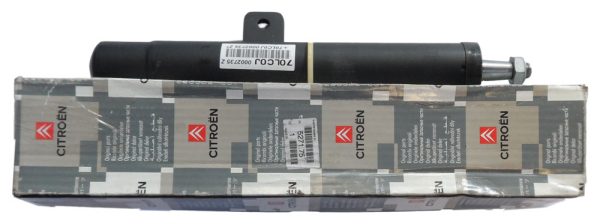 Citroen Xantia Front Strut