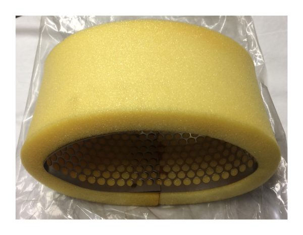 Citroen GS Air Filter (sponge element)