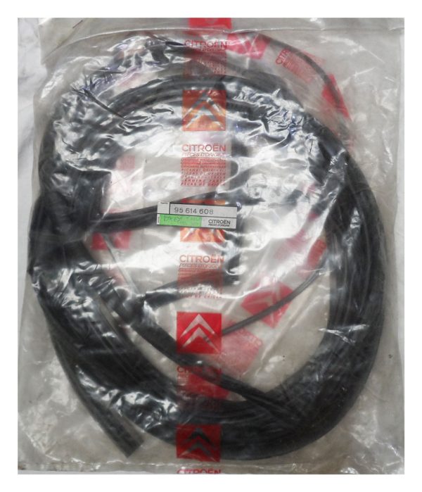 BX Estate Tailgate Glass Seal -95614608