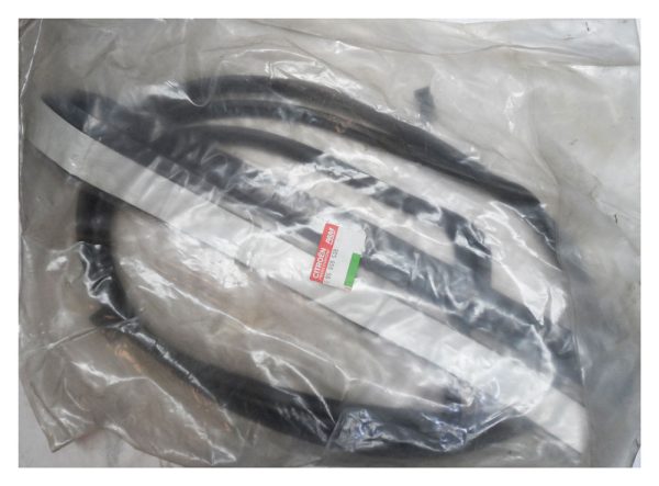 Citroen ZX Windscreen Seal Kit - 95659539