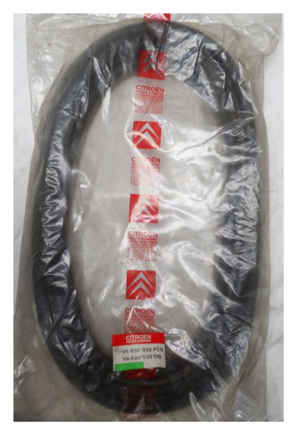 995630932FCG AX Door Seal - 95630932FCG