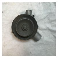 cx-waterpump Citroen CX Water Pump