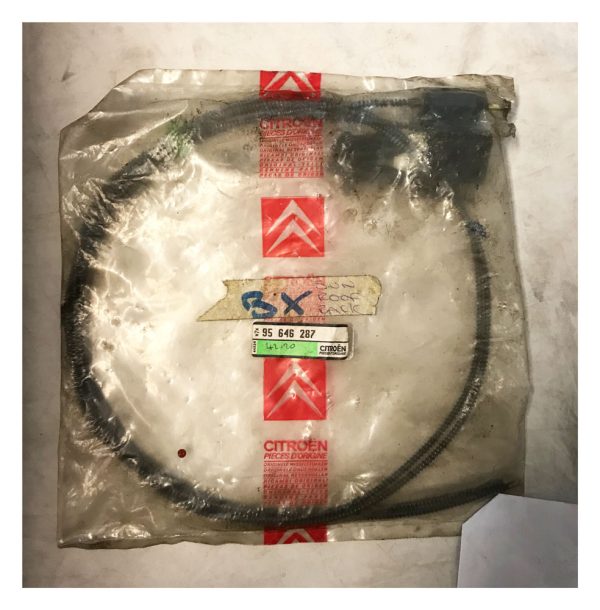 95646287 BX Sunroof Cable - 95646287