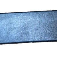 Possible Visa Spoiler