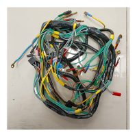 Ami 8 Full wiring loom