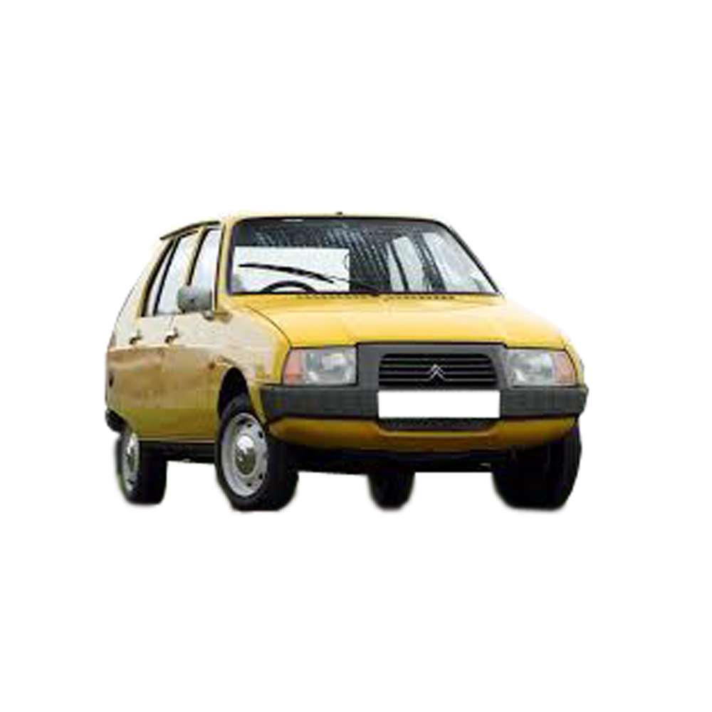 2CV , Dyane , Ami 6 & 8 , LNA , Visa Carburetor Repair Kit