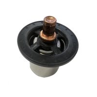 Citroen Xantia V6/Peug 406 coupe Thermostat NEW - 133873